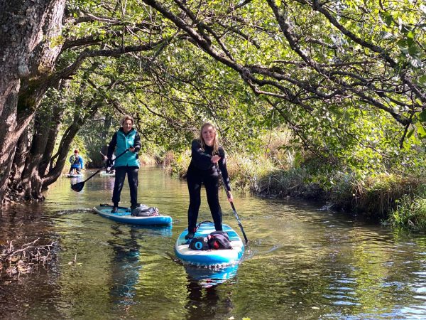 Dāvanu karte - Image 34