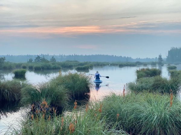 Dāvanu karte - Image 23