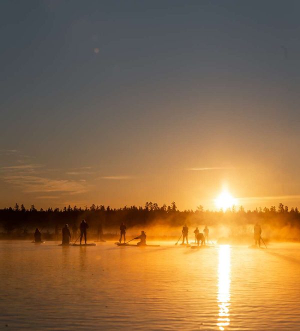 Saullēkts uz SUP dēļa Ķemeru purvā - Image 2