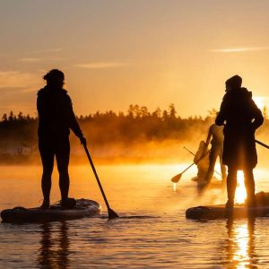 Sunrise on a SUP board in Ķemeri bog