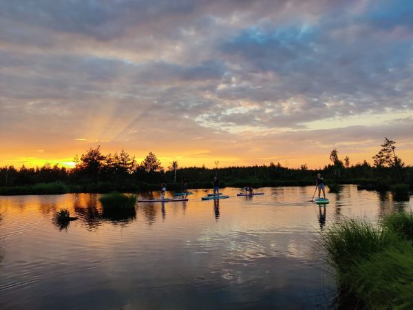 Saulriets uz SUP dēļa Ķemeru purvā - Image 7