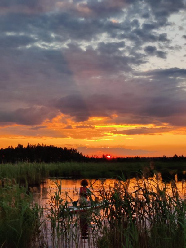 Saulriets uz SUP dēļa Ķemeru purvā - Image 9