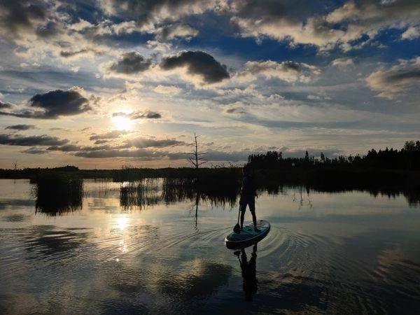 Saulriets uz SUP dēļa Ķemeru purvā - Image 8