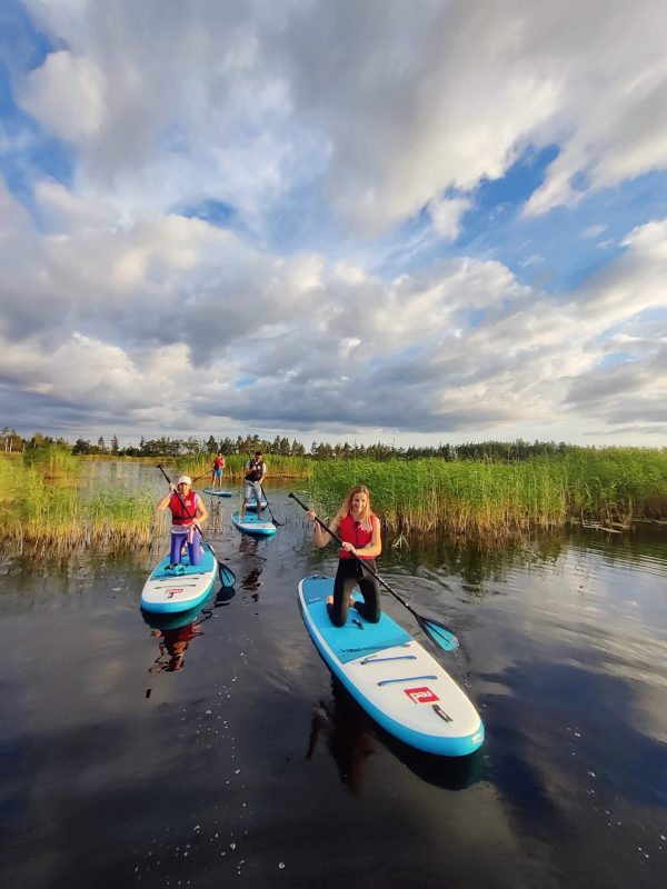 Saulriets uz SUP dēļa Ķemeru purvā - Image 12