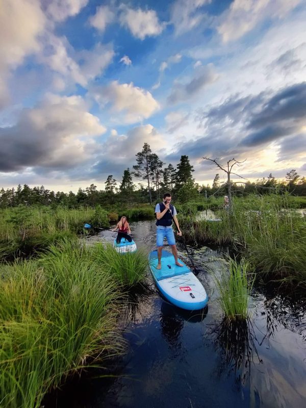 Saulriets uz SUP dēļa Ķemeru purvā - Image 11