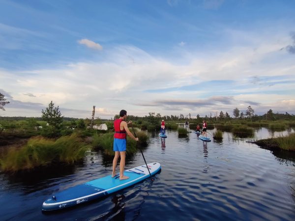 Saulriets uz SUP dēļa Ķemeru purvā - Image 10