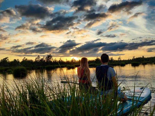 Saulriets uz SUP dēļa Ķemeru purvā - Image 2