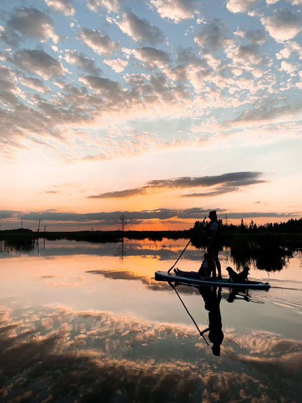 Saulriets uz SUP dēļa Ķemeru purvā - Image 3