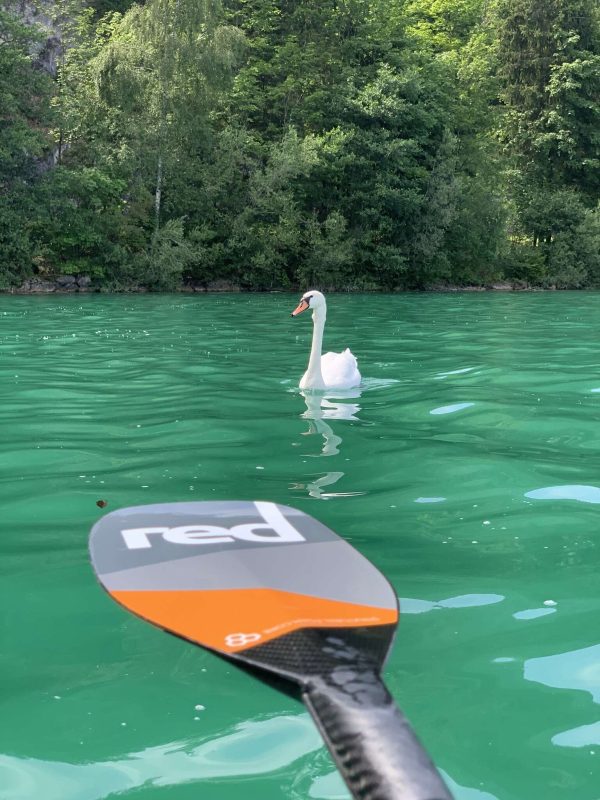 SUP piedzīvojums Alpos - Image 29