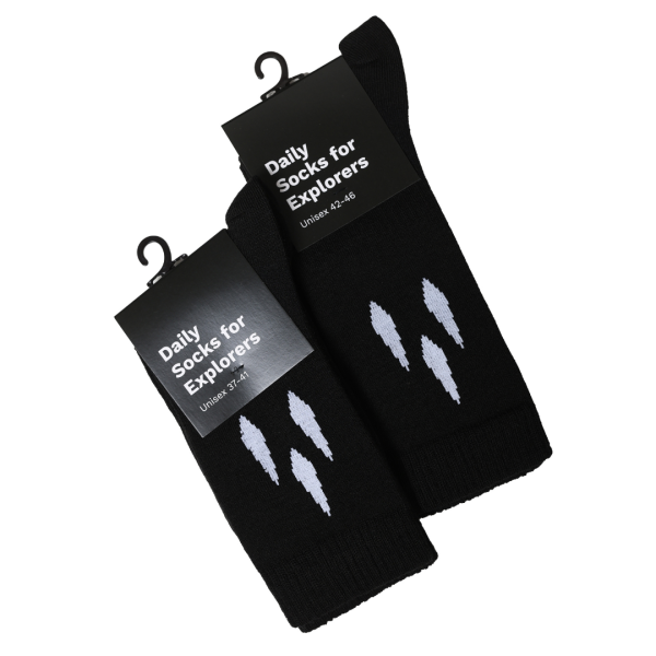 Daily Socks For Explorers